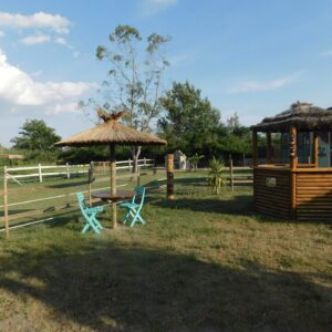 Roulotte Roulotte Pura Vida