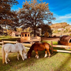 Roulotte Ma Roulotte  "La Passionnée"