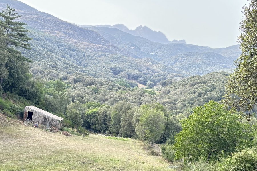 hebergement insolite Corse-du-Sud hebergement insolite Corse-du-Sud