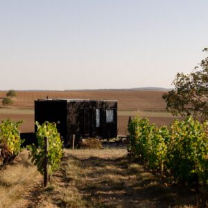Tiny House Parcel Tiny House - dans les vignes de Bourgogne proche Sancerre