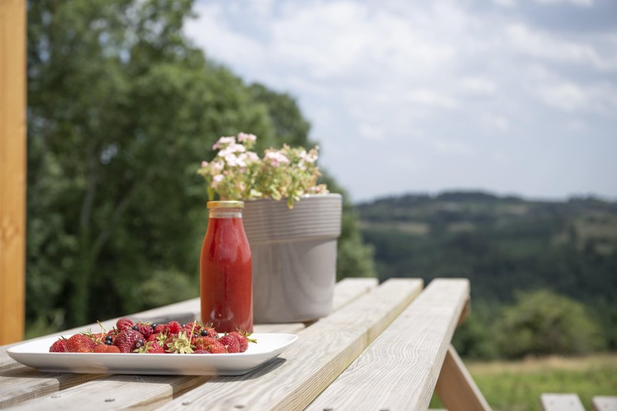Tiny House Domaine du COQ en PAT Tiny House Domaine du COQ en PAT