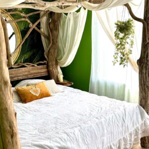 Jungle romantique Spa  et  Cinéma sous les arbres